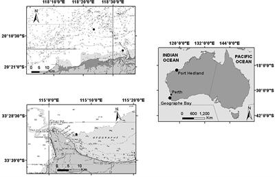 Non-song Vocalizations of Humpback Whales in Western Australia